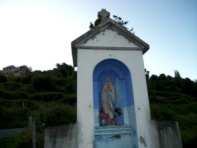 Gaudent 10