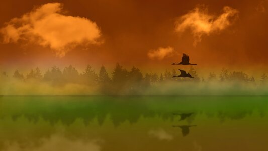 Atmospheric crane birds