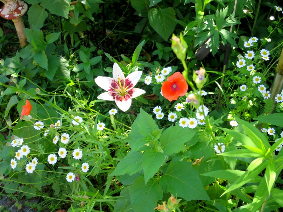 Garten Unterhaching 14