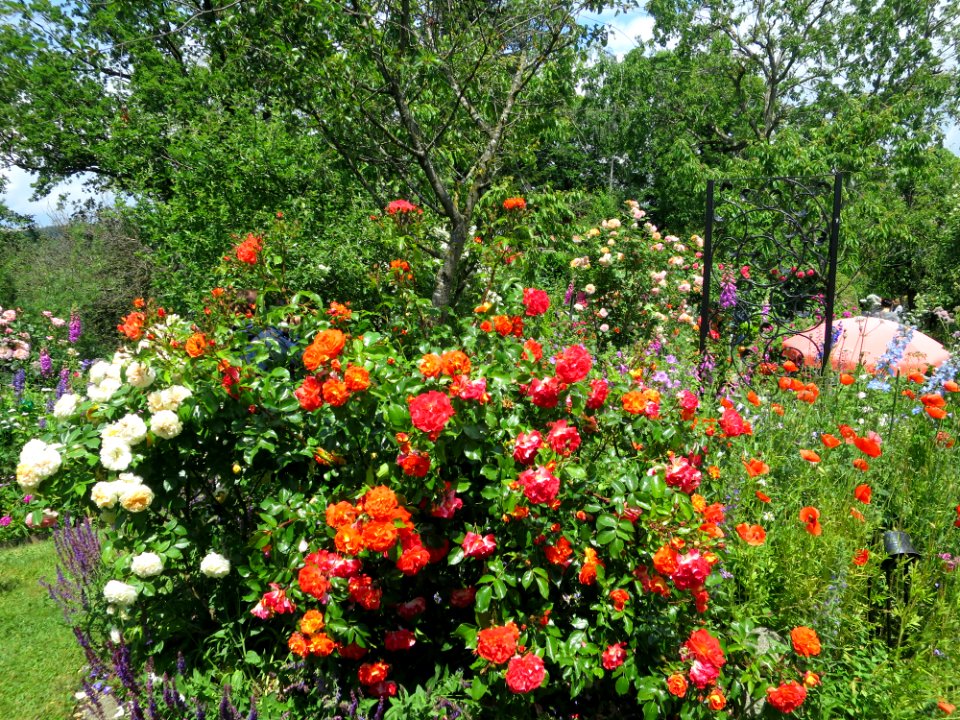 Garten Ebersberg 2