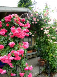 Garten Karlsdorf 6