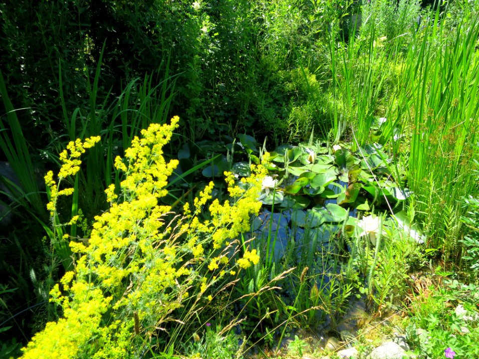 Garten Neubiberg 1
