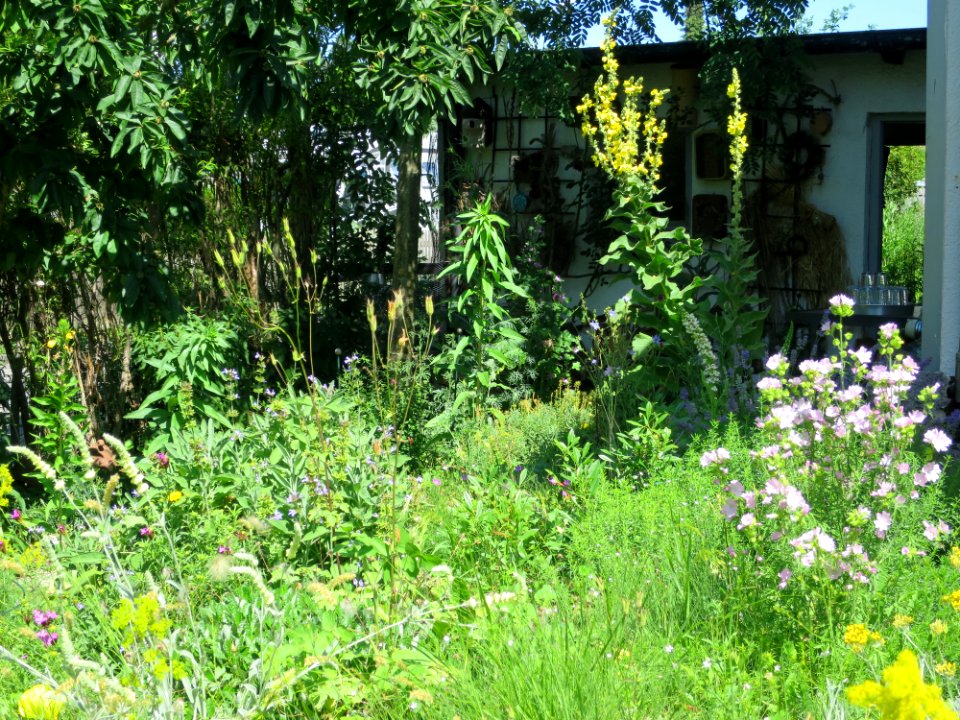 Garten Neubiberg 3