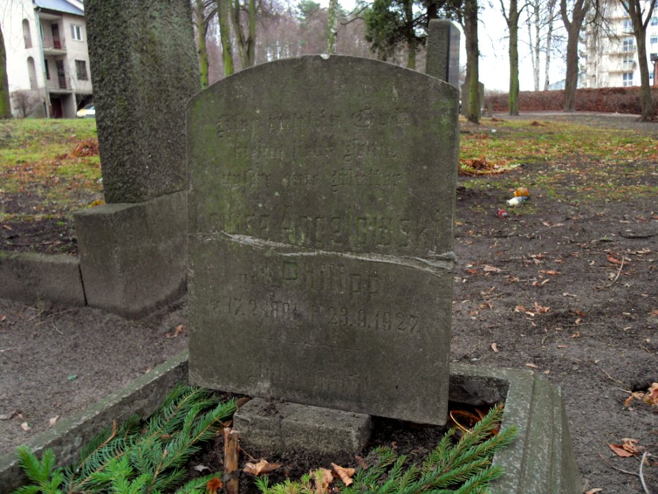 Gdańsk Cmentarz Brętowski (5)