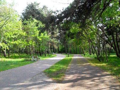 Gdańsk Jelitkowo - nadmorski park