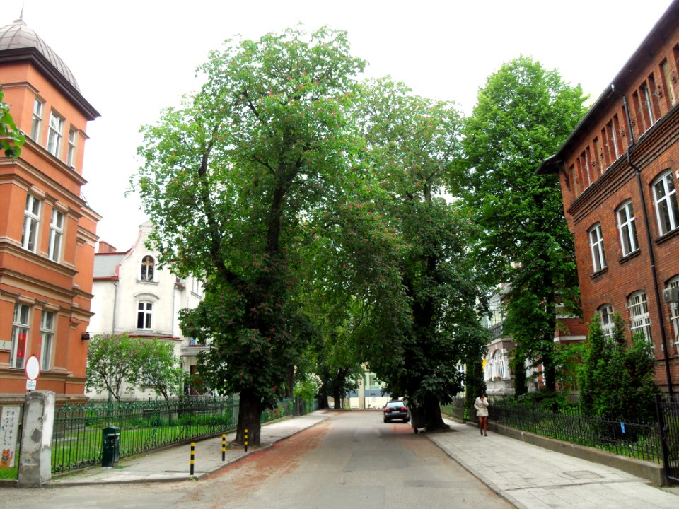 Gdańsk ulica Pniewskiego