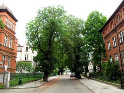 Gdańsk ulica Pniewskiego