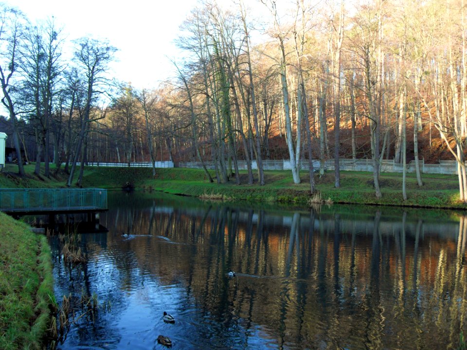 Gdańsk Oliwa IV Dwór (8)