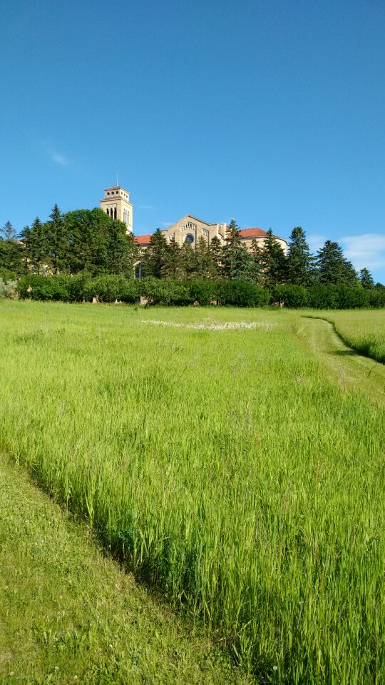 Field green building green church