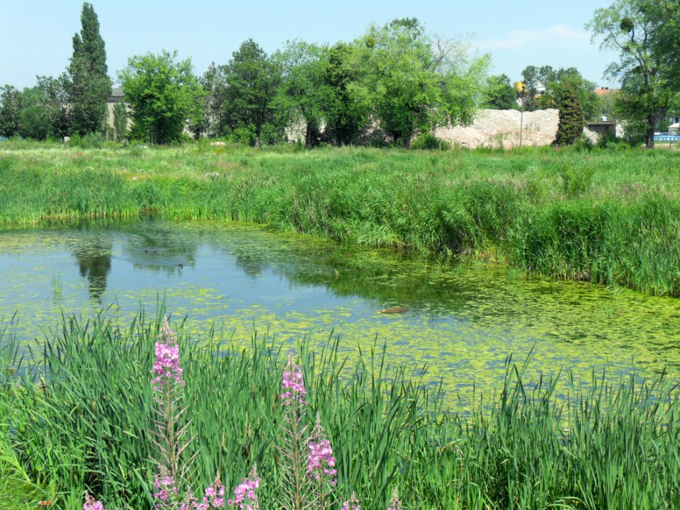 Gdańsk Brabank – dawny Elmor