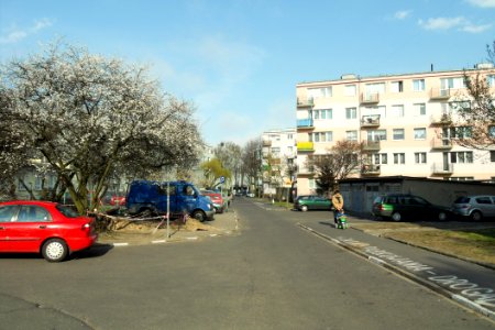 Gdańsk Przymorze ulica Kołobrzeska