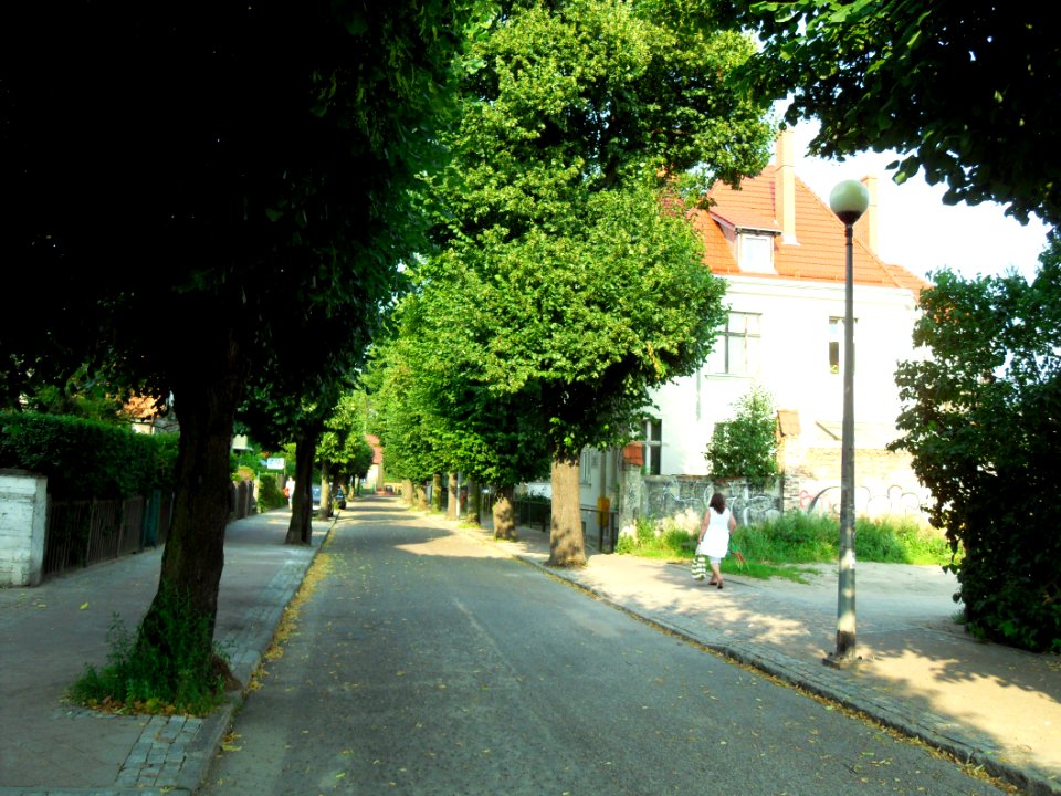 Gdańsk ulica Ceynowy