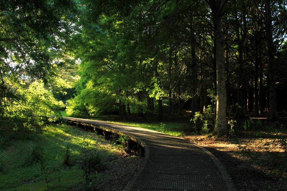 Nature outdoor pathway