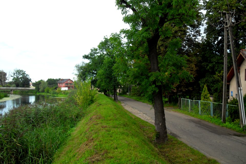 Gdańsk ulica Olszyńska i Motława
