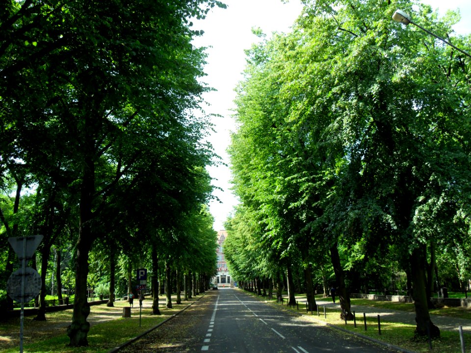 Gdańsk ulica Narutowicza