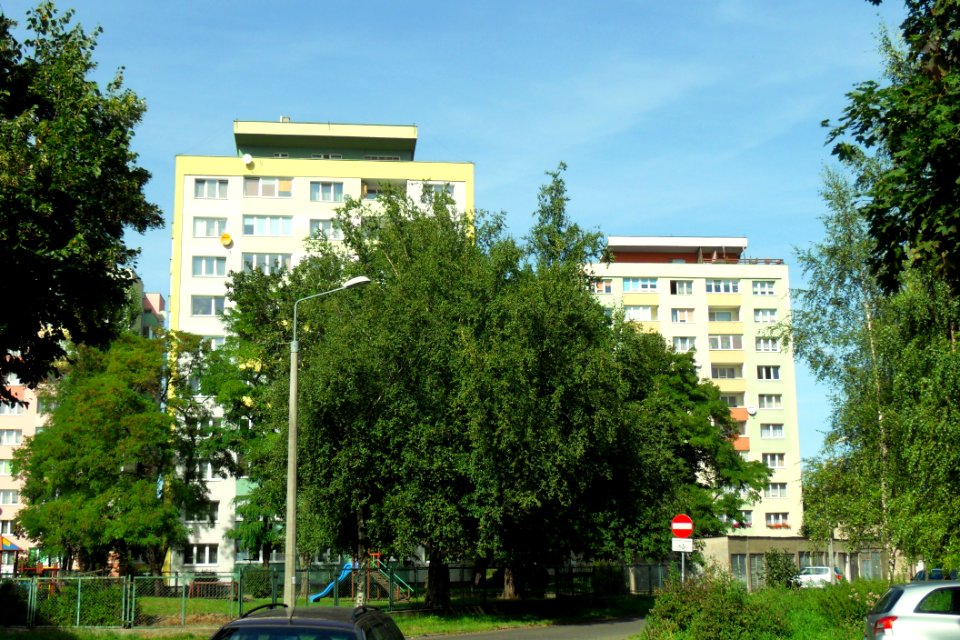 Gdańsk ulica Mostek 26 i Głęboka 8