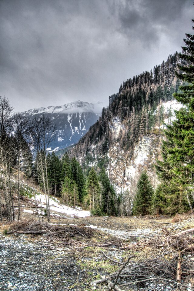 Nature austria outdoor