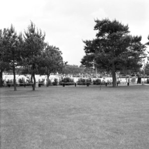 Geen foto, wel negatief, Bestanddeelnr 163-0757