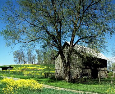 Log cabin scale meadow photo