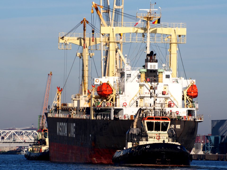 Genius Star VIII (ship, 2007) - IMO 9379868 & Tug 31 & Tug 42, Port of Antwerp pic2