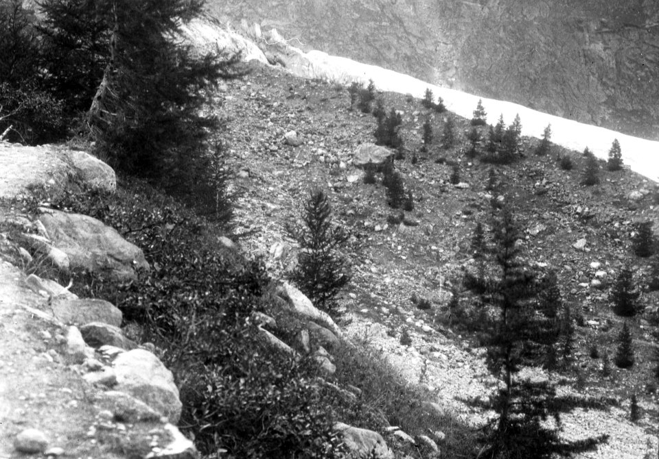 Geologie, gletsjers, feegletscher, Bestanddeelnr 193-0354