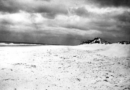 Geologie, duinen, Bestanddeelnr 193-0268