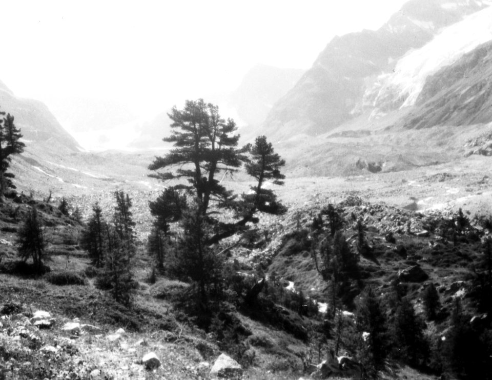 Geologie , zmuthgletscher, Bestanddeelnr 193-0295