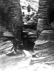 Geologie, erosie, zandsteen, zion national park, Amerika, Bestanddeelnr 193-0288