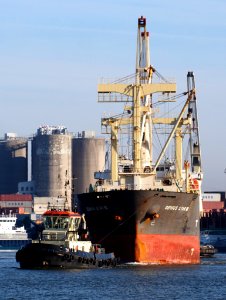 Genius Star VIII (ship, 2007) - IMO 9379868 & Tug 31, Port of Antwerp pic1