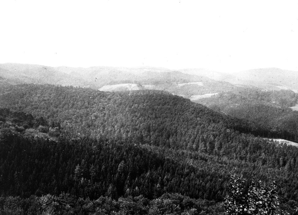 Geologie, bergen, porphyrgebergte, Thuringen, Bestanddeelnr 193-0317