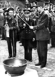 Generaal De Gaulle ontvangt de fakkel, Bestanddeelnr 901-8215 photo