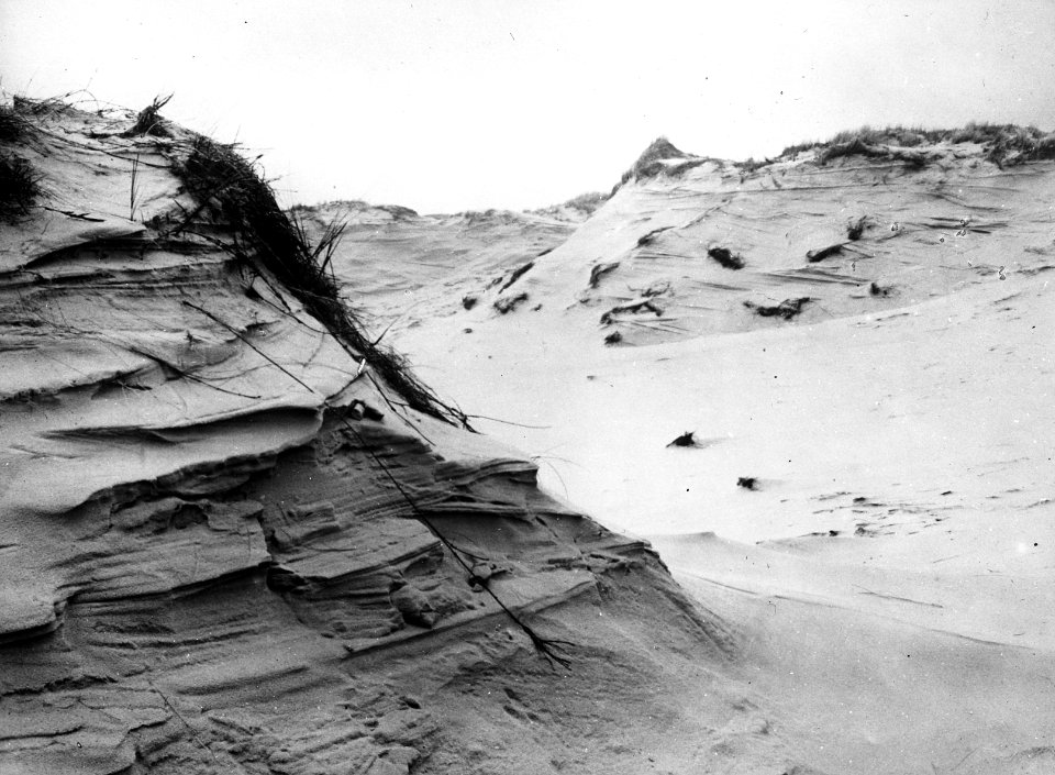 Geologie, stuivend zand, Bestanddeelnr 193-0269