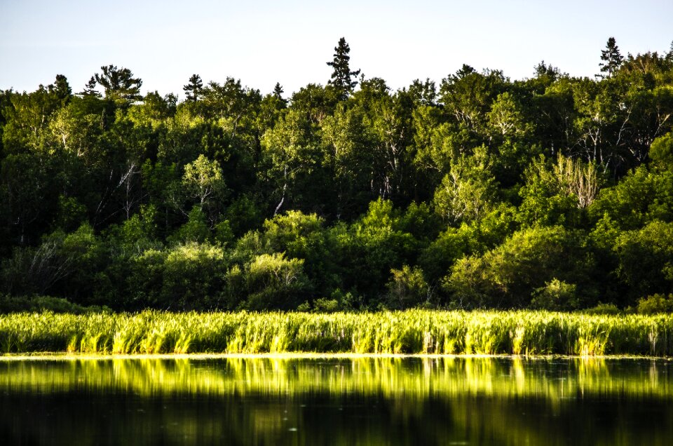 Island lake nature
