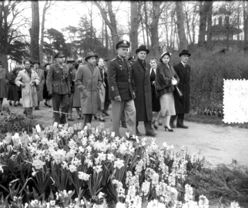Generaal Ridgway bezoekt Flora, Bestanddeelnr 905-6631