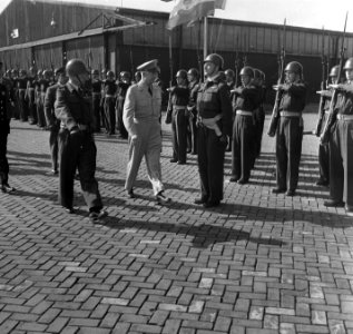 Generaal Eisenhower inspecteert de erewacht, Bestanddeelnr 905-1206