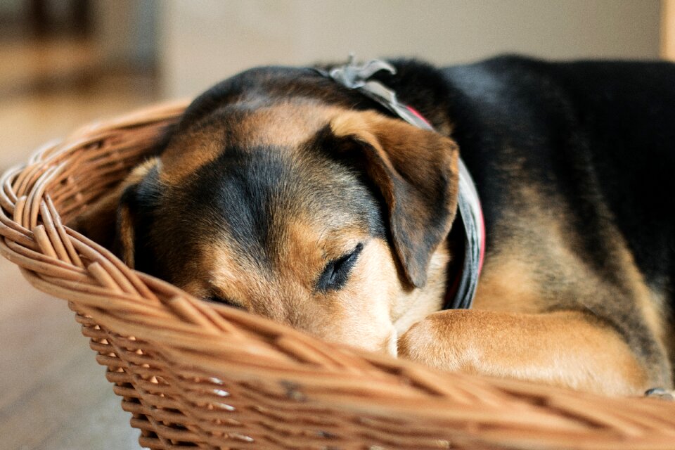 Rest tired concerns