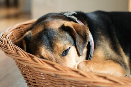 Rest tired concerns