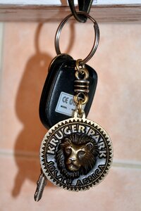 Open brown security brown key
