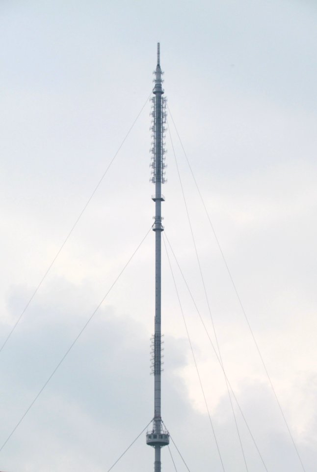 Gerbrandytoren, mast