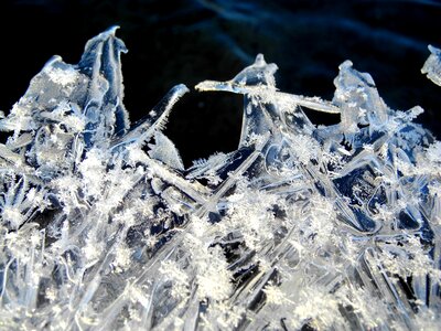 Frost rime icing photo