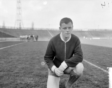 Gerard 'Pummie' Bergholtz (MVV), Bestanddeelnr 912-2310