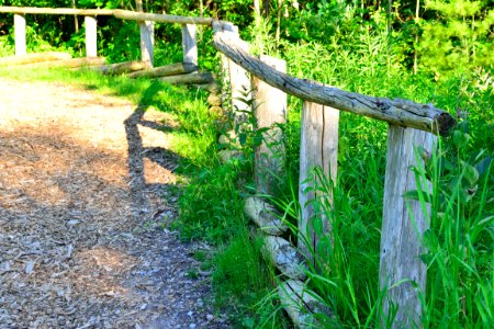 GermanMillsSettlersPark3