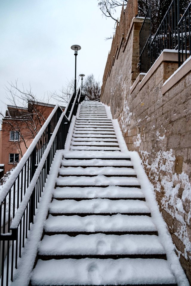 Germanenstaffel-mit-Schnee-1
