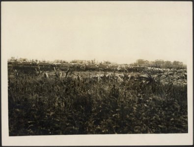 German trenches in front of the ANZACs, Bestanddeelnr 158-2334