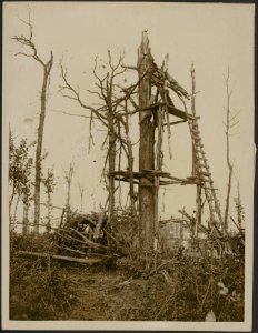 German observation post at a tree - on which our artillery has had a direct hit, Bestanddeelnr 158-2773