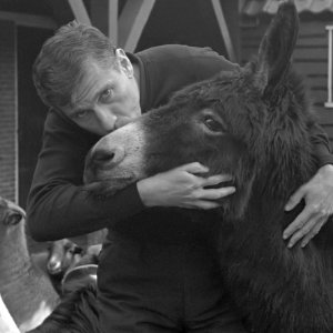 Gerard Kornelis van het Reve (1969)