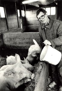 Geschonken in 1989 door United Photos de Boer bv. - Gepubliceerd in het Haarlems Dagblad van 11.04.1986. Identificatienummer 54-023298