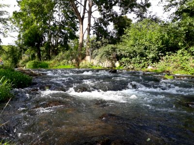 Gera River Plaue 1