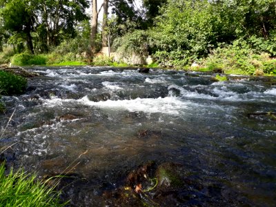 Gera River Plaue 2