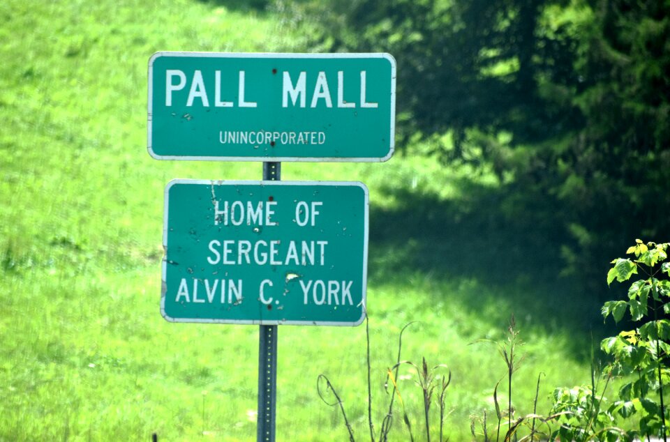 Pall mall sergeant york hometown alvin york